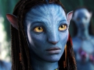 Avatar 2 na ceste