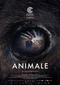 Poster Filmu: Animale