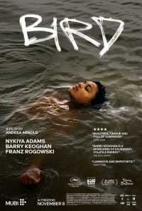 Poster Filmu: Bird 