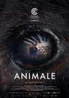 Poster Filmu: Animale