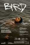 Poster Filmu: Bird 