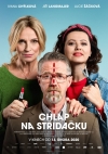 Chlap na striedačku film poster