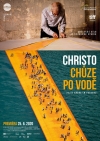 Christo: Chôdza po vode film poster