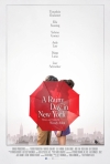 Daždivý deň v New Yorku  film poster