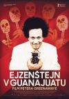 Ejzenštejn v Guanajuate film poster