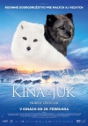 Kina a Juk: Príbeh líštičiek film poster