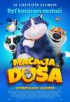 Mačacia duša film poster