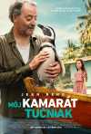 Môj kamarát tučniak film poster