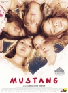 Mustang film poster