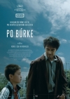 Po búrke film poster