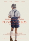 Po strništi bos film poster