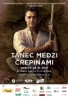 Tanec medzi črepinami film poster